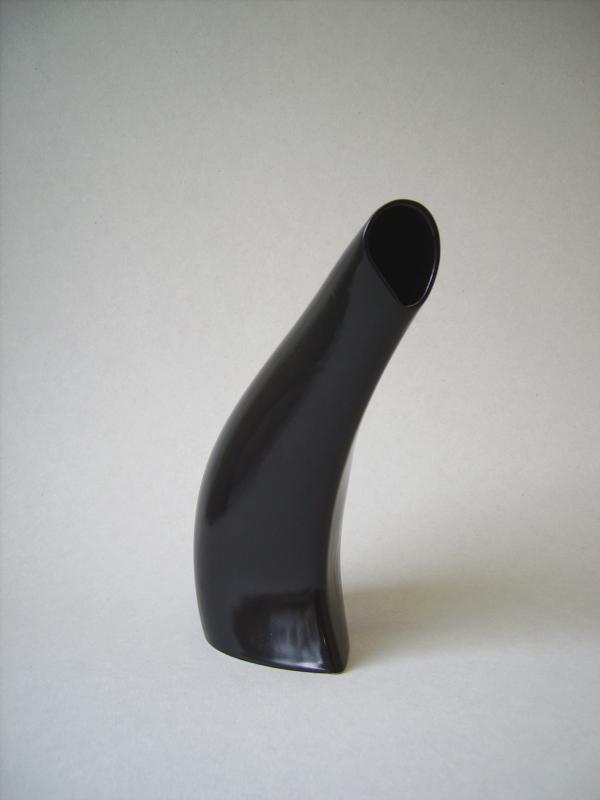 Black horn