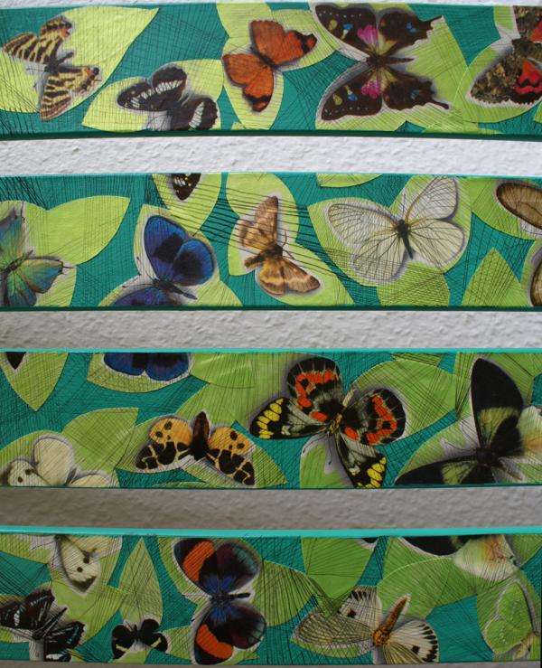 slice of butterflies